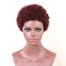 Wig Women Brown Brown Curly Synthetic Wavy Curly 80s 50s 60s 70s Hair