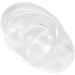 Buy Right Human Ear Model - Highly Simulated Silicone Waterproof for Teaching | International Shipping Available - Buy Online on GoSupps.com