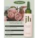 JENNYHOUSE Intensive Protein Ampoule - Deep Conditioning Hair Treatment with Keratin & Wheat Extracts - Repair Damaged Hair - Sandalwood & Rose Scent - 3.38 fl.oz - International Shipping Available - Buy Online on GoSupps.com