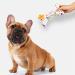 Minshuxi Dog Birthday Cake Toy - Plush Squeaky Bone & Interactive Pet Gift for Birthday Celebrations - Buy Online on GoSupps.com