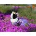 Yekeyi Spring Summer Princess Pet Dress for Rabbits Dogs & Cats - Cute Violet Tutu Costume for Bunnies - XS Flower Decor - Buy Online on GoSupps.com