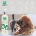 MENFORSAN Smoothing Detangling Cream for Dogs & Cats | 1L - Best Pet Grooming Solution | International Shipping Available - Buy Online on GoSupps.com