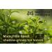 Artisan Ceremonial Grade Matcha Green Tea Powder from Kyoto Japan | 30g Tin | Rich Flavour, No Bitterness | Perfect for Shots & Lattes - Buy Online on GoSupps.com