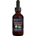 Global Healing USDA Organic Elderberry & Echinacea Liquid Supplement Tincture | Antioxidant Immune Support Against Harmful Organisms for Adults and Kids, Vegan, Non-GMO, 2-Month Supply (2 Oz)