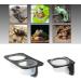 Serenable 3 PCS Reptile Amphibians Chameleon Lizard Feeding Ledge Bowls Double Dish with Suction Cup - Buy Online on GoSupps.com
