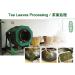 Premium Xihu Longjing Green Tea Leaves 125g - Freshly Picked Before Qingming - Buy Online on GoSupps.com