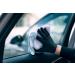 Premium Auto Glass Cleaner Nuke Guys Lake Through 500ml Spray Streak-Free Formula for Inside & Outside Adjustable Foam & Spray - Buy Online on GoSupps.com
