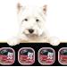 Cesar Food for Small Dogs Variety Product of U.S.A 36 X 100 Grams Net Wt 3600 Grams - Buy Online on GoSupps.com