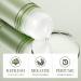 White Tea Roll-On Fragrance Body Oil for Women & Men - Long Lasting Refreshing Quick-Drying Odor-Eliminating - Buy Online on GoSupps.com