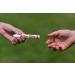 After Bite X-Tech - Fast Relief for Insect Bites - 4 Pack - Buy Online on GoSupps.com