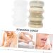Beavorty 3 Sets travel bottle cadence travel containers travel size lotion sealing lotion container travel containers for toiletries daily use lotion jar cosmetic pp white Press bottle - Buy Online on GoSupps.com