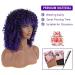 Curly Afro Wig with Bangs Purple Mixed Blue for Black Women - Synthetic Hair 15 Inch + 1 Comb & 4 Wig Caps | T15717C# Mixed Blue - Buy Online on GoSupps.com