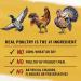Beyond Wet Cat Food Poultry Variety Pack 3 Flavours - 85 g Can (12 Pack) - Buy Online on GoSupps.com