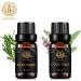 Aromatherapy Clary Sage Essential Oil Set for Diffuser 2X10ml 100% Pure Rosemary Essential Oils Kit for Humidifier- Rosemary Clary Sage Essential Oils Aromatherapy Rosemary Oil Pure Clary Sage Oil - Buy Online on GoSupps.com
