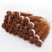 Red Ginseng Tibrous Root Red Ginseng Tails Red Ginseng Curved Tails Red Ginseng Mixed Tails Hongshengxu Radix LATERALIS Ginseng RUBRA Korean Red Ginseng Root (500 g(1.10 Pound)) 8000 Ounce (Pack of 1)