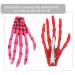 Buy Minkissy 8pcs Halloween Skeleton Hair Accessories Colorful Skull Hair Clips for Spooky Styles - Buy Online on GoSupps.com