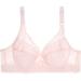 Shop Stylish Neckholder Bralette & Push Up BH - Comfortable Iron-Free Bustier for Women | International Shipping Available - Buy Online on GoSupps.com