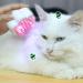 Buy Fzzuzdlap Electric Pet Spray Grooming Comb | UV Spray & Massage Function | Perfect for International Shipping - Buy Online on GoSupps.com