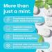 NeuroGum Energy Caffeine MINTS (180 Pieces) - Sugar Free with L-theanine + Natural Caffeine + Vitamin B12 & B6 - Nootropic Energy & Focus Supplement for Women & Men - Keto & Vegan  Peppermint Flavor - Buy Online on GoSupps.com