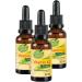 Kopp Vital Vegan Vitamin K2 Drops | 3 x 30 ml | High Bioavailability | 99.5% All-Trans | Soy-Free | Pharmacy Quality - Buy Online on GoSupps.com