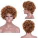 SHIYID Short Blonde Curly Synthetic Wig for Women - Heat Resistant Brown Kindy Curly Hair | Perfect African American Hair Solution - Buy Online on GoSupps.com