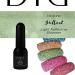 Didier Lab - Premium UV Gel Nail Polish - Brillant No. 16- Gel Nail Varnish - Nail Art - Long-Lasting High Gloss Wear - Green Gel Nail Polish - Gel Nails - Glitter Gel Nail Polish - Rich Pigment - Buy Online on GoSupps.com