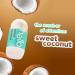 Sweet Coconut Roll On Deodorant for Women + Men - Aluminum Free, 48 Hour Protection, Non Sticky Formula - Travel Size 2 Pack 1.69 oz Tubes - Buy Online on GoSupps.com