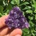 1Pcs Natural Uruguay Amethyst Cluster Home Decoration Purple Crystal Stone Specimens Cluster Decor Uruguay Cluster 20-30 Reiki Crystal Stone (Color : Uruguay Cluster Size : 30-40g) 30-40g Uruguay Cluster - Buy Online on GoSupps.com