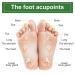 Detox Foot Patches - 20PC Wormwood Foot Plasters for Blood Circulation Tiredness Relief & Improved Sleep - Buy Online on GoSupps.com