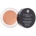Absolute New York Correct 'n Cover Dark Circle Concealer (Light)
