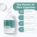 Zinc Supplements 50mg - Nutrali Zinc Bisglycinate High Absorption Formula for Immune Support Skin Hair & Nails 180 Vegan Non-GMO Gluten-Free Capsules 180 count (Pack of 1) - Buy Online on GoSupps.com