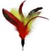 Cat Feather Toys Set with Wand and Refills - Interactive Cat Toys - Buy Online on GoSupps.com