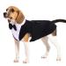 Dog wedding suit smoking costumes formal party outfits shirt dog clothing tuxedo dog fly wedding with removable loop bandana for small medium and large dogs (black l) l (1 Pack) black