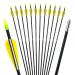 ANTSIR 28 Inch Targeting Arrows Archery Practice Arrows with Safety Shaft Blunt Tip for Beginners on Recurve Bow Long Bow A-Yellow white