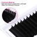 Lash Extension Supplies - 0.07 D Curl 13mm Easy Fan Volume Eyelash Extensions | Self Fanning 4D-10D Rapid Blooming Lashes - Buy Online on GoSupps.com