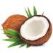 Chear Premium Gold Caribbean Cocos Nucifera Coconut Oil 200ml - Aromatherapy Coldpressed - Buy Online on GoSupps.com