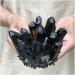 Natural Black Smokey Quartz Crystal Cluster Specimen Suitable for Home HOMEZHOU (Size : 800-900g) - Buy Online on GoSupps.com