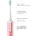 Soniclean Lux Sonic Toothbrush for Adults | Rechargeable Automatic Toothbrush with 6 Heads | Rose Gold - Buy Online on GoSupps.com