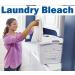 2 Splash-Less Bleach Cleaners (40oz) + Daley Mint Towel | Bulk Disinfecting Cleaner for Laundry Floors Bathroom & Tile - 80oz Total - Buy Online on GoSupps.com