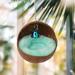 Violotoris Hanging Coconut Shell Bird Nest House Bed Natural Random Color Cushion Birdhouse Bird Hut Breeding Place Toy For Bird - Buy Online on GoSupps.com