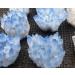 300g-450g Natural Blue Phantom Ghost Quartz Cluster for Decoration 1pc Can be Used for (Color : 1PC) HOMEZHOU - Buy Online on GoSupps.com