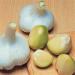 Organic Elephant Garlic - 2 Huge Bulbs for Planting, Eating, or Cooking | Non GMO & Mild Taste - Buy Online on GoSupps.com