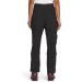 THE NORTH FACE Women's Bridgeway Zip-Off Pant 4 - Tnf Black | Versatile Outdoor Pants - Buy Online on GoSupps.com