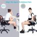 Adjustable Scoliosis Posture Corrector Full Back Support Corset for Men Women Shoulder Neck Clavicle Spine Support Lumbar Support L - Buy Online on GoSupps.com
