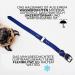 Regal Dog Products Waterproof Dog Collar for Small Medium & Large Dogs - Durable Blue Collar for Puppies & Adult Dogs - Buy Online on GoSupps.com