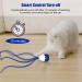 Buy Petcronies 4 in 1 Interactive Kitten Toy (Blue02) - Engage Your Cat with Fun & Play | International Shipping Available - Buy Online on GoSupps.com
