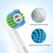 Pack of 16 Precision Clean Brush Heads for Oral B Electric Toothbrushes - Compatible & High Quality - Buy Online on GoSupps.com