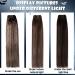 Buy Hetto Ombre Brown Clip-In Real Hair Extensions | Remy Hair Darkest Brown to Ash Brown #2/8/2 80g 30 cm - Buy Online on GoSupps.com