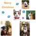 Buy Removable Fly Christmas Cat Collars - Cute Checked Pattern Adjustable and Durable for Cats & Small Dogs - 2 Pack - Buy Online on GoSupps.com
