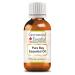 Greenwood Essential Pure Bay Essential Oil (Pimenta racemosa) Steam Distilled 100ml (3.38 oz) 3.38 Fl Oz (Pack of 1)